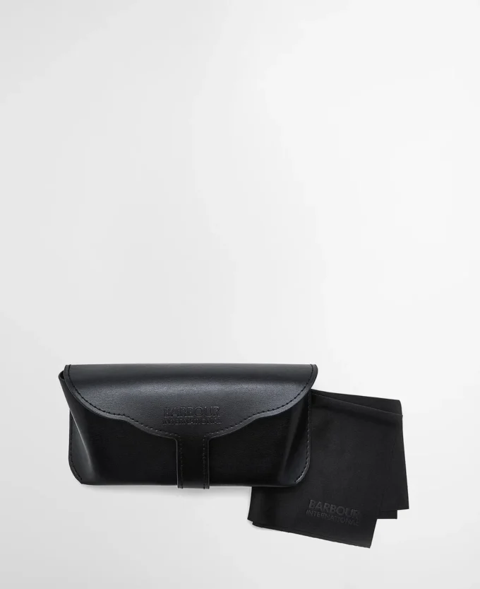 Navigator Sunglasses